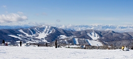 1DM38500_edited-1.jpg