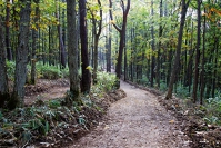 _06H4533.jpg